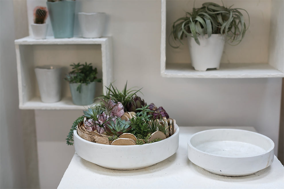 Zane Bowl Set Of 4 By Accent Decor | Planters, Troughs & Cachepots | Modishstore - 2
